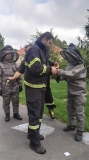 Dobrovoľní hasiči zasahovali pri odchyte včiel v družine ZŠ v obci Pobedim