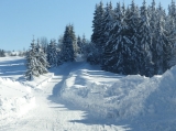 Hasiči pomáhali v Oravskej Lesnej pri odstraňovaní následkov snehovej kalamity