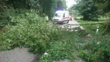 Vodič dodávky pri nehode vrazil do stromu