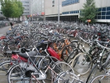 Európsky deň bicyklov - preventívne policajné rady