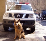 K zlepšeniu práce policajných psov môže prispieť aj výskum FBI