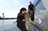 Slovenská polícia sa tento týždeň zúčastňuje medzinárodnej operácie DARIF