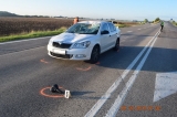 Zrážka Octavie a cyklistu skončila tragicky