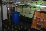 Polícia odhalila laboratórium na pestovanie marihuany