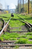 Mimoriadna udalosť na koľajisku v Seredi - mladý muž na stožiari trakčného vedenia