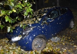 Obvinenie z majetkovej trestnej činnosti 