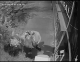 Polícia pátra po podozrivej trojici - VIDEO