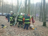 Hasiči zachránili paraglajdistu, ktorý uviazol na vysokom strome 