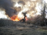 Požiar trstiny a trávnatého porastu v lokalite Kamenný mlyn v Trnave