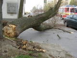 Spadnutý strom na auto v Šamoríne