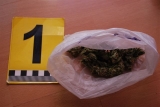 Policajti zadržali podozrivého pre drogy