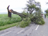 Hasiči v trnavskom kraji odstraňovali následky silného vetra