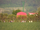 200 